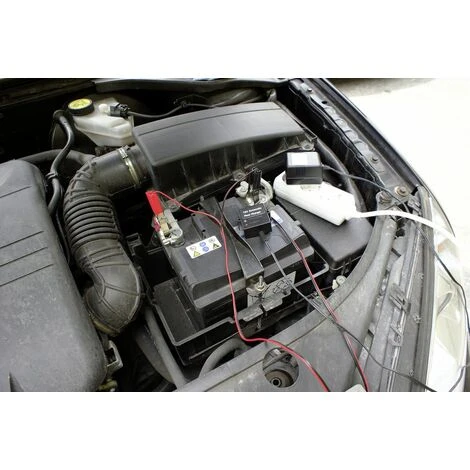 EUFAB Batterie-Erhaltungsgerät 12V 500mA 16505 16505 06801510659589 16505 0680150287 4017681165054 Eufab – Bild 3