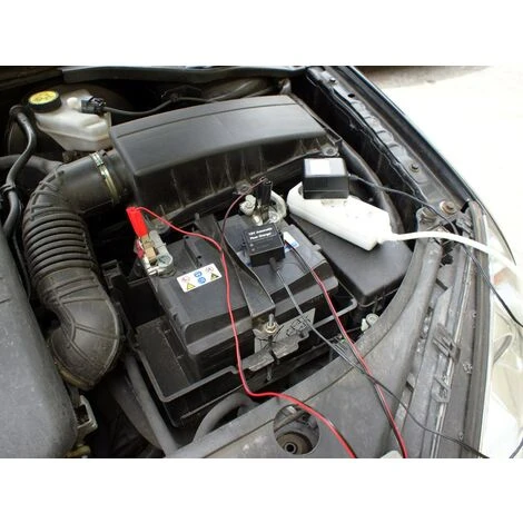 EUFAB Batterie-Erhaltungsgerät 12V 500mA 16505 16505 06801510659589 16505 0680150287 4017681165054 Eufab – Bild 4